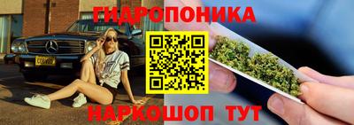 дурь Кингисепп