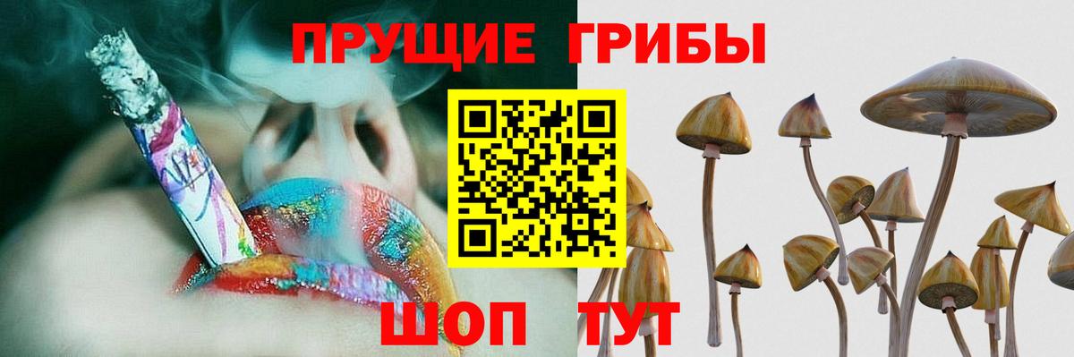 Псилоцибиновые грибы ЛСД Кудрово